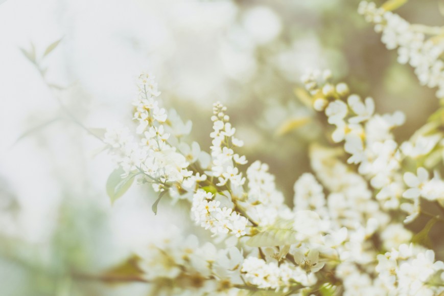 Mid-Year Reset: How to Reflect and Refocus for the Rest of the Year